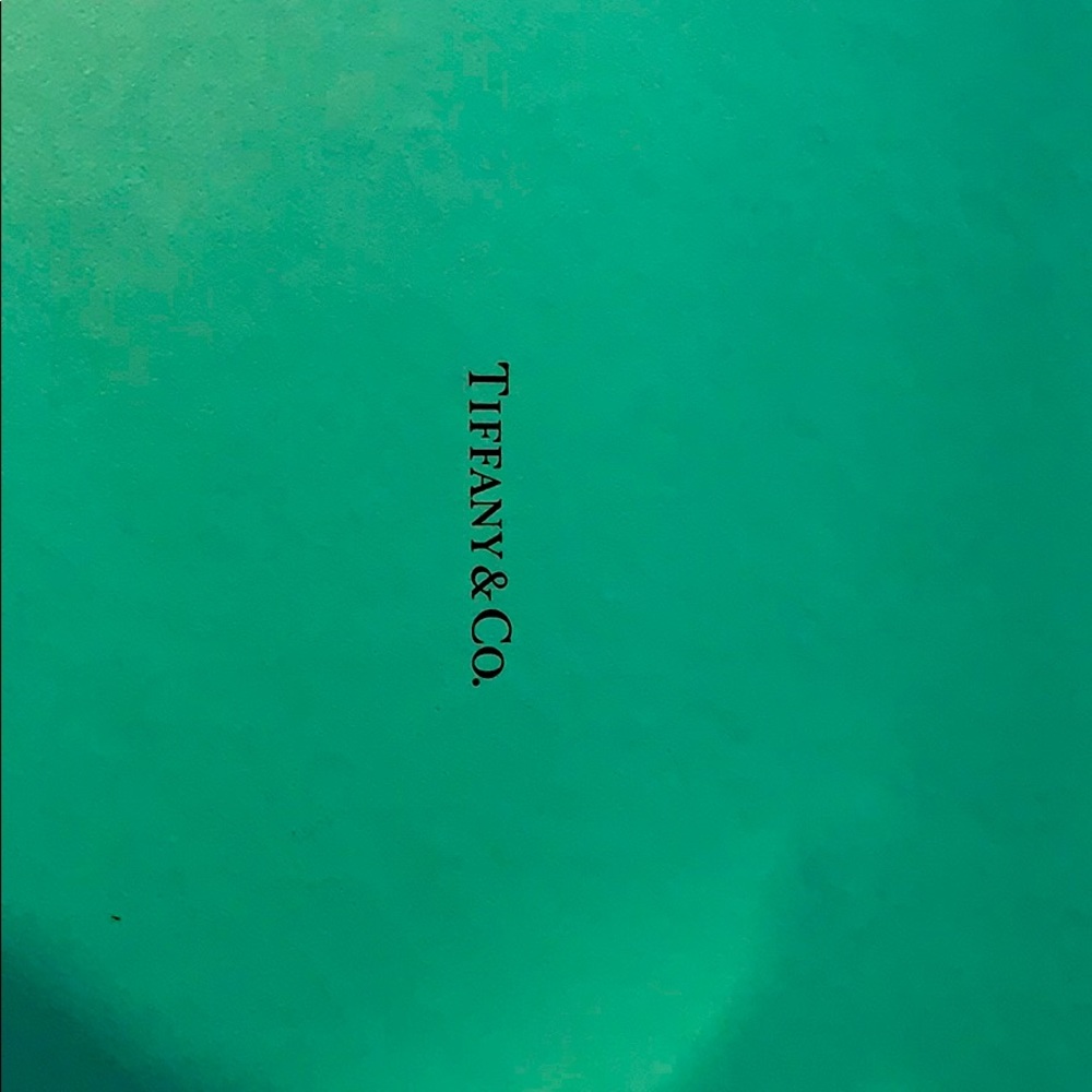 Tiffany &Co. Champagne flutes. NWOT Original box